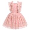 IMEKIS 9th 10th Birthday Girl Outfit: Fairy Dresses Girls Onederful Cake Smash Toddler Graduation Dress Kids Princess Easter Dress Tea Party Wedding Formal Pageant Daisy Tulle Pink Floral 9-10 Years view 1