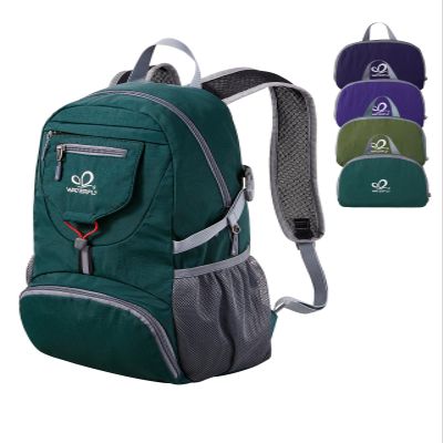 WATERFLY Small Lightweight Packable Backpack: 20l Ultra Light Foldable Travel Hiking Camping Daypack Day Pack for Man Woman