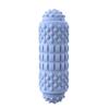 Aria Doejay Electric Yoga Massage Column USB Rechargeable Yoga Roller - Vibrating Foam Roller - Electric Back Roller, Foam Roller for Physical Therapy - Fashion & Simplicity Style - 115295, Sky Blue