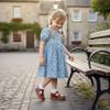 Kolan Todder Little Girls Oxford Shoes Mary Jane T-Strap School Uniform Party Dress Flat Brown Shoes Size 11 view 2