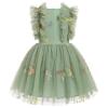 Fairy Dress Toddler, Party Dress for Baby Girl Boho Lace Hippie Flower Puffy Wedding Birthday Dance Evening Gown for Kids Baptism Photography Summer Ruffle Floral Clothes Sage Green 3-4T view 4