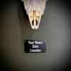 Prized Possessions Sturdy European Mount Skull Hanger. Low Profile. USA Based Company. Secure Your Euro Mount with Peace of Mind! Show Off Your Deer Skull Mount! (3x5 Plaque, 1, Count) view 4