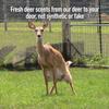 Outdoor Hunting Lab Certified Peak Doe Estrus Spray | 2 oz | 4 Bottles Variety Pack | Doe in Heat Urine for Hunting | Drag N Drip Included | Deer Scents view 4