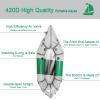 Packraft 420D TPU Inflatable Travel Kayak Lightweight Packrafts with Soft Seat for Flat Water Rafting Bicycle Drifting Litewater Dinghy, 1 Person (Green) view 2