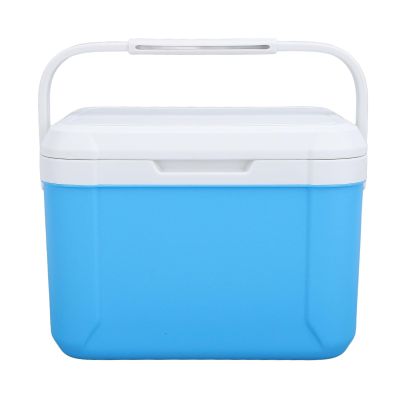 Asixxsix 5L Insulated Portable Cooler, Insulated Hard Cooler with 6 Ice Pack & Heavy Duty Handle, Portable Hard Cooler Box Ice Cooler for Camping Picnic Beach Drink Beverage Fishing