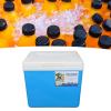 10L Insulated Cooler Box with Food Grade Material, Keeps Contents Cold for Long Periods, Premium Insulation, Portable Cooler for Home, Outdoor, Fishing, Picnic, Commercial view 4
