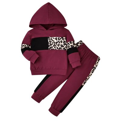 2T Girls Clothes Toddler Fall Winter Outfits Long Sleeve Hoodie Tops + Elastic Sweatpants 2 Piece Red 2-3 Years Old