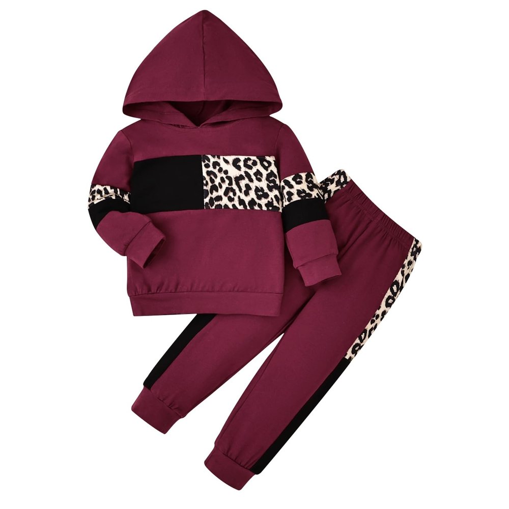 2T Girls Clothes Toddler Fall Winter Outfits Long Sleeve Hoodie Tops + Elastic Sweatpants 2 Piece Red 2-3 Years Old