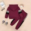 2T Girls Clothes Toddler Fall Winter Outfits Long Sleeve Hoodie Tops + Elastic Sweatpants 2 Piece Red 2-3 Years Old view 3