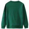 Bumeex Toddler Boy Sweatshirt Clothes Spring Fall Winter Long Sleeve Shirt Fashion Top Clothing Outfits Green Zebra 3t view 2