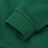 Bumeex Toddler Boy Sweatshirt Clothes Spring Fall Winter Long Sleeve Shirt Fashion Top Clothing Outfits Green Zebra 3t view 4