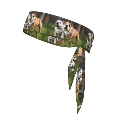 WZYWHJ English Bulldogs Pattern Headbands,Sports Head Tie,Headband for Men and Women,Hair Band for Running Workout Football, Black
