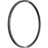 DT Swiss F 572 Rim - 29", Disc, Black, 28H view 1