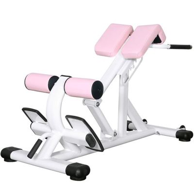 GLDWEY Roman Chair Multi Function Back Extension Machine, Adjustable Workout Bench Hyperextension Bench for Home Gym Strength Training Max Capacity 1320lbs for Home Gym(Color:Pink)