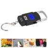 Digital Portable Electronic Scale Weighing Tool for Fishing Express Luggage view 4