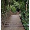 Durable Hemp Rope Net Garden Netting Cargo Net Automotive Cargo Nets Decorative Fences Decking Rope Net Perfect for Home and Garden Use(1x4m) view 4