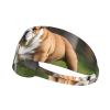 WZYWHJ Soft and Absorbent Headband for Red Basketball Workout - Ideal Hair Accessory for Yoga, Running, and More! English Bulldogs Pattern, Black view 1