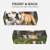 WZYWHJ Soft and Absorbent Headband for Red Basketball Workout - Ideal Hair Accessory for Yoga, Running, and More! English Bulldogs Pattern, Black view 2