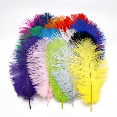 KTGCOZS Pack of 5 10-12" Dyed Ostrich Feathers Herl Plume Fluffy Nymph Body Fly Tying Materials Wedding Supplies DIY (Pink 5pcs)