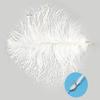 KTGCOZS Pack of 5 10-12" Dyed Ostrich Feathers Herl Plume Fluffy Nymph Body Fly Tying Materials Wedding Supplies DIY (Pink 5pcs) view 2