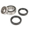 Qqmora 1011291, High Strength Rear Axle Bearing Kit Axle Oil Seal Kit Rugged Anti Aging 4Pcs for DS Electric Cart, cart Accessories view 1