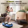 FLYBIRD Vibration Plate Exercise Machine, Adjustable Speed High Intensity Vibration for Muscle Toning Weight Loss Lymphatic Drainage, Full Body Workout Vibration Plate (Blue) view 3