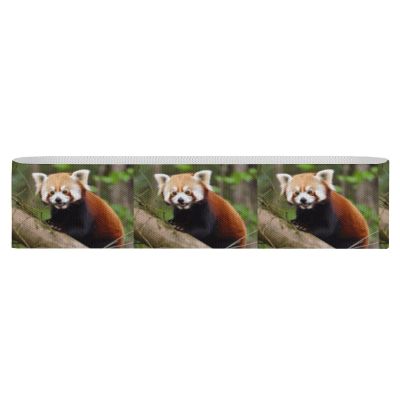 LQWOK Yoga Strap, Little Red Panda Printed Yoga Strap,new Yoga Strap,elastic Yoga Strap,fitness Yoga Strap,auxiliary Yoga Strap