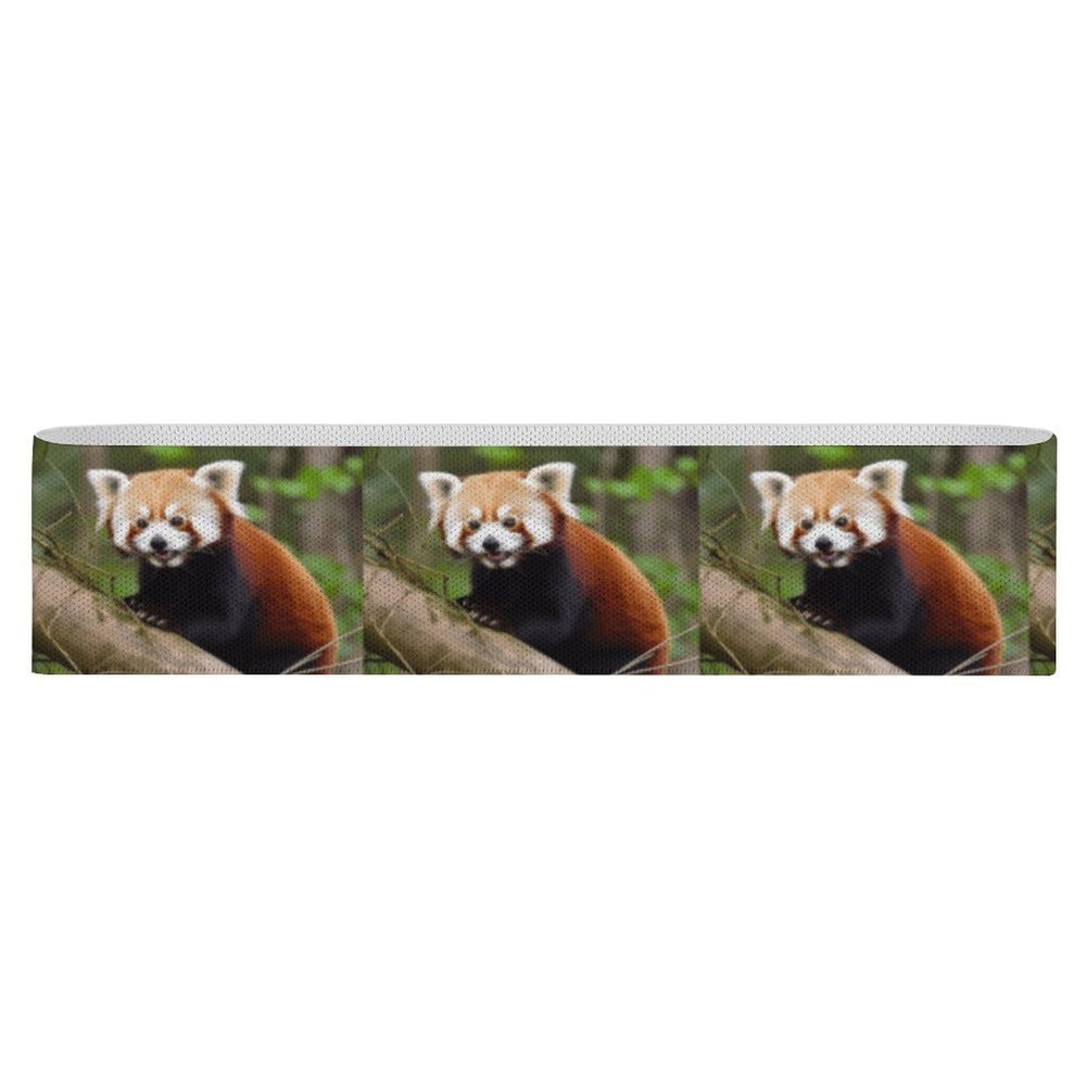 LQWOK Yoga Strap, Little Red Panda Printed Yoga Strap,new Yoga Strap,elastic Yoga Strap,fitness Yoga Strap,auxiliary Yoga Strap