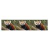 LQWOK Yoga Strap, Little Red Panda Printed Yoga Strap,new Yoga Strap,elastic Yoga Strap,fitness Yoga Strap,auxiliary Yoga Strap view 1