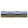 LQWOK Yoga Strap, National Park Printed Yoga Strap,new Yoga Strap,elastic Yoga Strap,fitness Yoga Strap,auxiliary Yoga Strap view 1