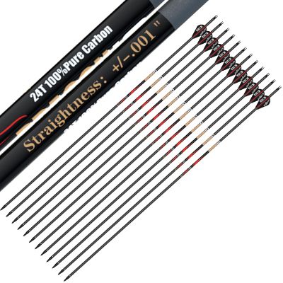 sanlida Archery 100% Pure Carbon Arrows, Dragon 10 Flagship Carbon Hunting Arrows for Compound Bow and Recurve Bow, Professional Standard Hunting Arrows Pack of 12 (+/-.001" Straightness, 450 Spine)