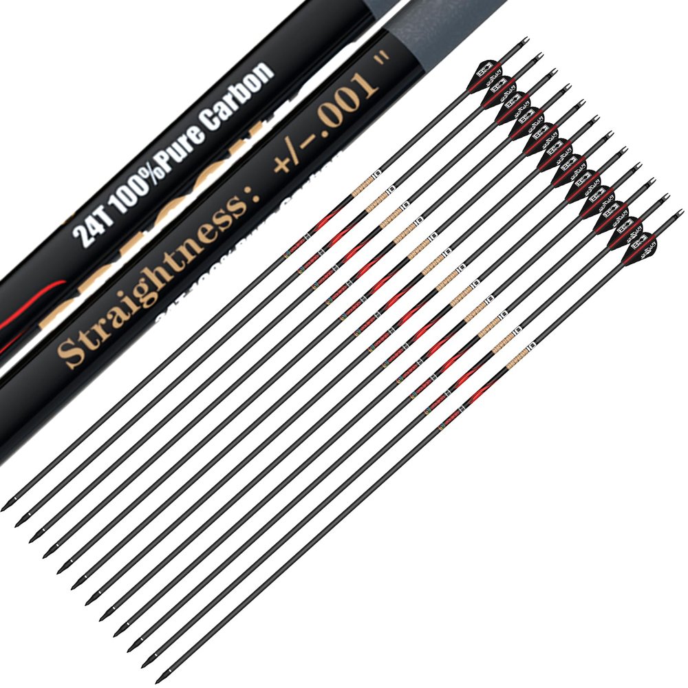 sanlida Archery 100% Pure Carbon Arrows, Dragon 10 Flagship Carbon Hunting Arrows for Compound Bow and Recurve Bow, Professional Standard Hunting Arrows Pack of 12 (+/-.001" Straightness, 450 Spine)