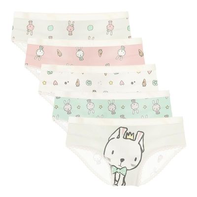 Fidelina 5-Pack Girls' RABBIT Design Ultra-Soft Microfiber Panties with Cotton Lining Size 4
