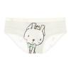 Fidelina 5-Pack Girls' RABBIT Design Ultra-Soft Microfiber Panties with Cotton Lining Size 4 view 2