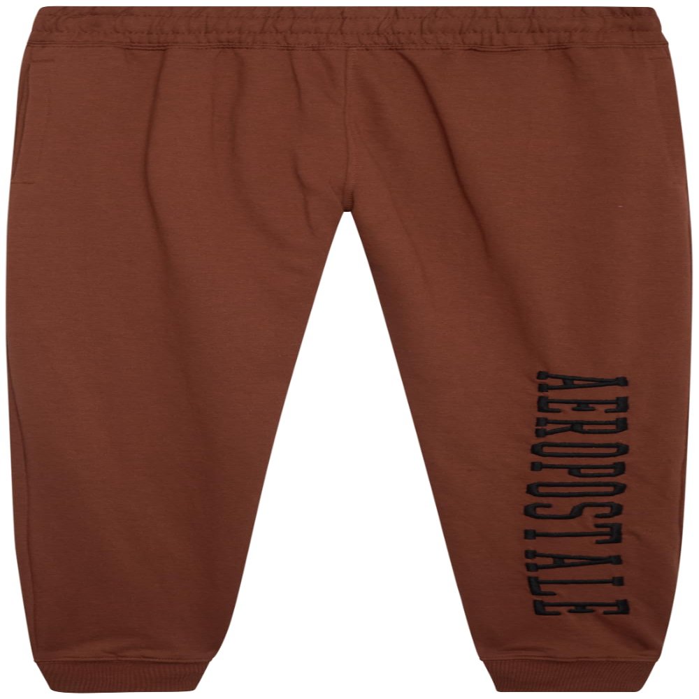 AEROPOSTALE Active Boys Sweatpants - Super Soft Fleece Boys Athletic Jogger Pants Kids Activewear with Pockets (Sizes: 4-16), Size 10-12, Tortoise Shell