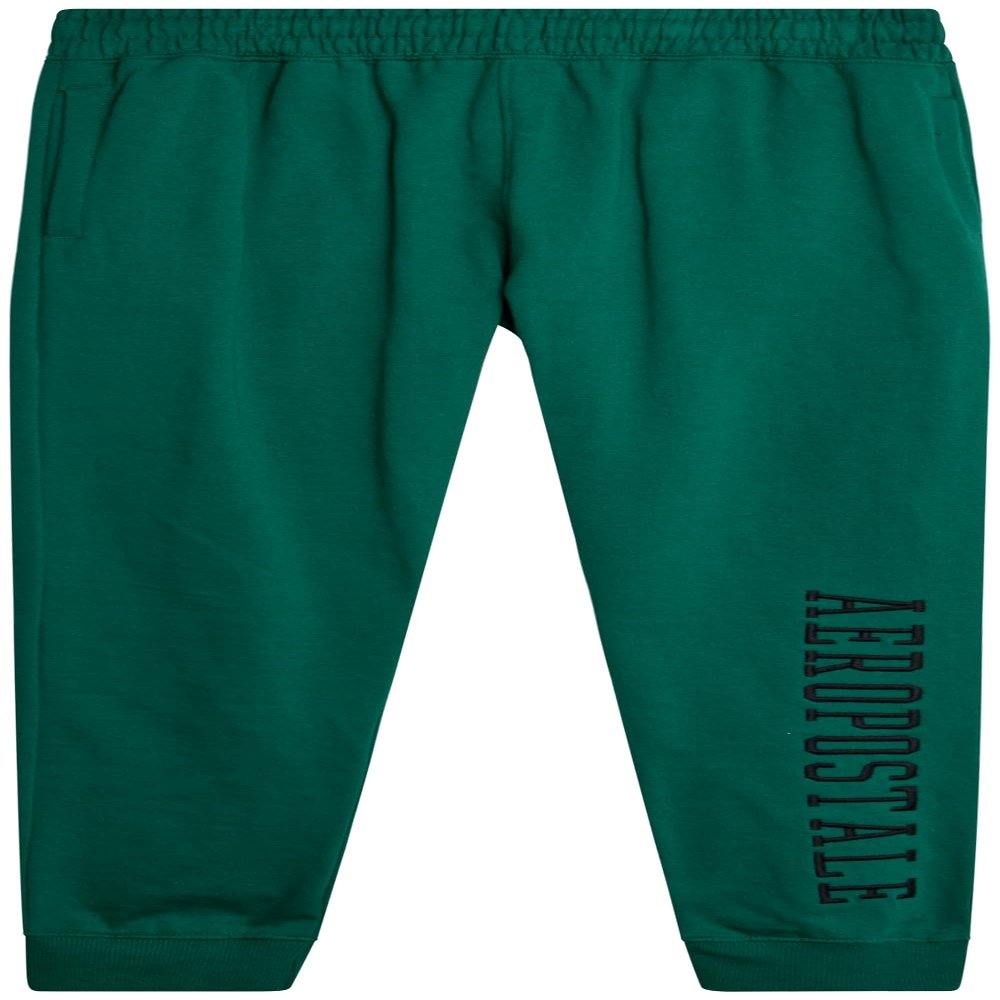 AEROPOSTALE Active Boys Sweatpants - Super Soft Fleece Boys Athletic Jogger Pants Kids Activewear with Pockets (Sizes: 4-16), Size 14-16, Evergreen