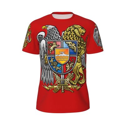 Emblem of Armenia Symbol 3D Print Men'S Crewneck Classic Breathable Short-Sleeved Mesh T-Shirt Small Black