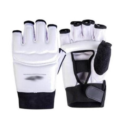 PGNEX Taekwondo Palm and Foot Protector Karate Gloves Protector Taekwondo Protector Protector(Large)