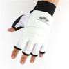 PGNEX Taekwondo Palm and Foot Protector Karate Gloves Protector Taekwondo Protector Protector(Large) view 3