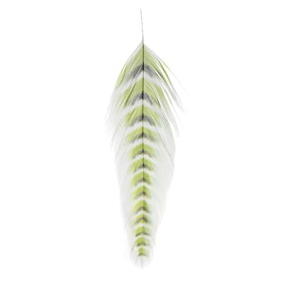 Montana Fly Company Fly Tying - Galloup's Fish Feathers - Grizzled - Chartreuse/Black