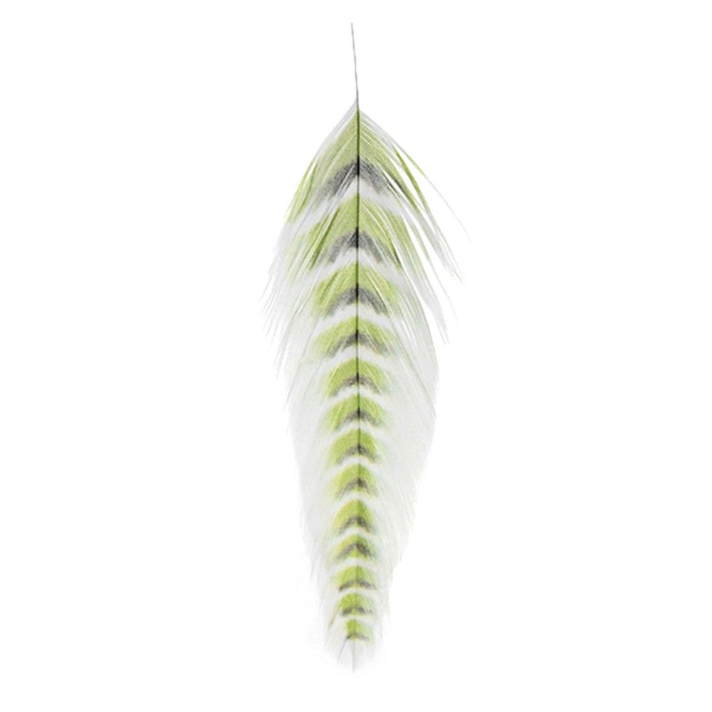 Montana Fly Company Fly Tying - Galloup's Fish Feathers - Grizzled - Chartreuse/Black
