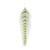Montana Fly Company Fly Tying - Galloup's Fish Feathers - Grizzled - Chartreuse/Black view 1