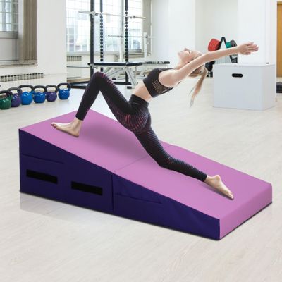 Cheese Wedge Gymnastics Mat,48x24 Inch Folding Gymnastic Tumbling Mat with Handle,Indoor/Outdoor Cheese Mat for Gymnastics,Home Gym Exercise,Pink Incline Gymnastics Mat with Non-Slip