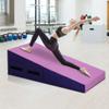 Cheese Wedge Gymnastics Mat,48x24 Inch Folding Gymnastic Tumbling Mat with Handle,Indoor/Outdoor Cheese Mat for Gymnastics,Home Gym Exercise,Pink Incline Gymnastics Mat with Non-Slip view 1