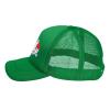 Cute Goldfish Baseball Cap Women Men Hat Adjustable Mesh Cap Outdoors Sun Hat Green view 4