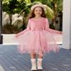 Arshiner Toddler Girls Party Dress Irregular Hem Tulle Long Sleeve Princess Tutu Holiday Gown Valentines Day Birthday Dresses 4-5T Light Rose view 4