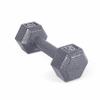 CAP Barbell Cast Iron Hex Dumbbell, Single, 10 lb view 1
