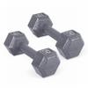 CAP Barbell Cast Iron Hex Dumbbell, Pair, 10 lb view 1