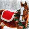 Abbylike Christmas Horse Saddle Pad Red Saddle Pad Santa Saddle Pad with Faux Fur Trim for Horses Under Saddle, Dressage, Jumping & Training view 4