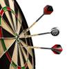 Accmor Metal Tip Darts, Steel Tip Darts, 18 Grams Professional Metal Darts, Darts Metal Tip Set, Metal Darts for Dartboard, 24 pcs  view 4